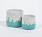 Playful Teal Concrete Planters (Set of 2)
