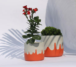 Playful Orange Concrete Planters (Set of 2)