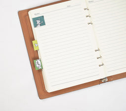 Quirky Cats Green Magnetic Paper Tabs (set of 3)