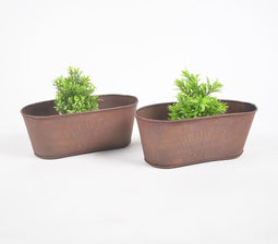 Rustic Iron Oblong Planters (set of 2)
