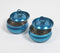 Teal Blue Stainless Steel Dry Fruit Bowl with Lid (Set of 2)
