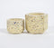 Terrazzo Concrete Hexagon Planters (Set of 2)