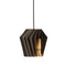 Mini-spot hanglamp (Kleur: Black)