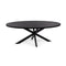 Stalux Ovale eettafel 'Mees' 240 x 110cm, kleur zwart zwart eiken