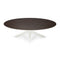 Stalux Ovale eettafel 'Mees' 180 x 100cm, kleur wit bruin hout
