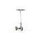 Elektrische Step Segway Zing C10 Grijs Zilverkleurig 120 W