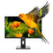 Monitor Nilox NXM24REG02 24