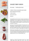Jamie Oliver '5 Ingrediënten'