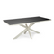Stalux Eettafel 'Gijs' 200 x 100cm, kleur wit zwart eiken