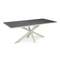 Stalux Eettafel 'Gijs' 200 x 100cm, kleur wit zwart marmer