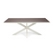 Stalux Eettafel 'Gijs' 200 x 100cm, kleur wit bruin hout