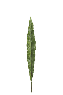 CANNA LEAF BRANCH PL GRN XL