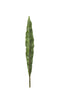 CANNA LEAF BRANCH PL GRN XL
