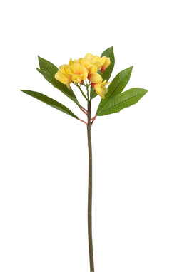 FRANGIPANI FLOWER PLASTIC YEL