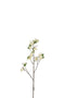 J-Line Bloesem Tak - kunststof - wit/bruin - small - 12 stuks