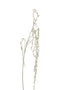 J-Line plant Senecio Rowleyan - kunststof - ecru - 12 stuks