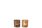 TLH TREE GLASS BROWN S ASS2