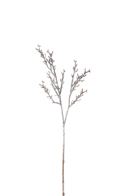 BRANCH BALD TREE PL CAM/WH S