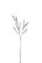 BRANCH BALD TREE PL CAM/WH S