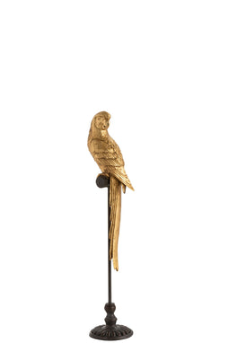 J-Line decoratie Papegaai - polyresin - goud/bruin - small