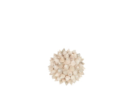 BALL SHELLS PIKE WHITE S