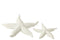 BALL SHELLS PIKE WHITE S