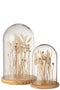 BELL JAR DR FL ECR/BR GL WD L