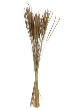 BUNDLE DRIED OR FOUN GR NAT