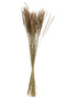 BUNDLE DRIED OR FOUN GR NAT