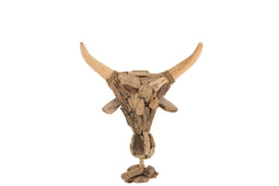 BULL HEAD ON FOOT DRIFTWD NAT