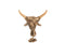 BULL HEAD ON FOOT DRIFTWD NAT