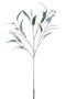 BRANCH FINE LEAVES PL GRN
