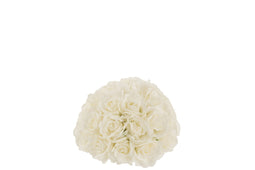 FLOWER BULB HALF ROSES PL WH S