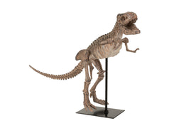 DINOSAUR T-REX ON FT POL L BR