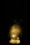 XMAS B REIND+LED+F GL CL S