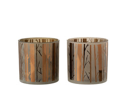 HURRICANE TREE GLASS BR L ASS2