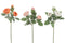ROSE BUNC FT PL OR/W MIX SASS3