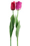 J-Line bloem Tulp Elisa - kunststof - roze - 2 stuks