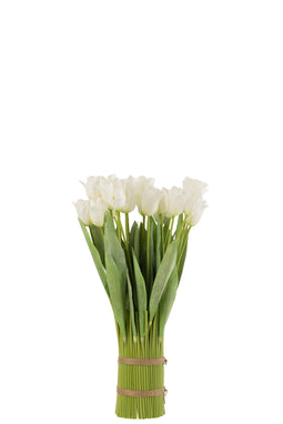 TULIPS IN BUNDLE PL WH/GRN
