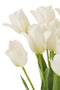 TULIPS IN BUNDLE PL WH/GRN