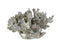 J-Line koraal Laag - polyresin - zilver