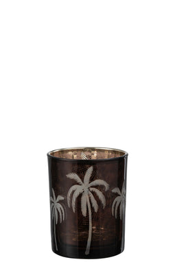 HURRICANE PALM TREE GL BR M