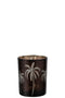 HURRICANE PALM TREE GL BR M