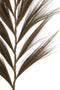 BRANCH GRASS BUNDLE DARK BROWN