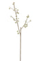 BRANCH LITTLE APP PL MAT GRN