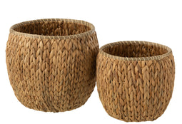 S/2 FLOWER POTS WATER HYA NAT