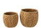 S/2 FLOWER POTS WATER HYA NAT