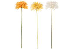 CHRYSANTH PL WH YEL OR ASS3