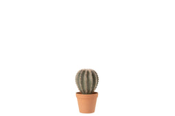 CACT BALL+POT SYNTH GRN/TERR L