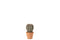 CACT BALL+POT SYNTH GRN/TERR L